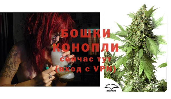 mix Белокуриха
