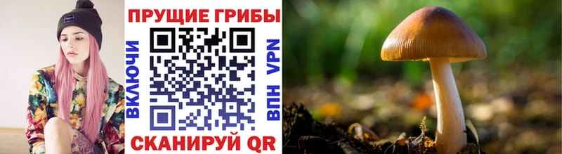 Галлюциногенные грибы мухоморы  Юрьевец 